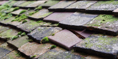 Bodorgan roof repair costs